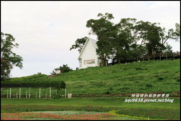 大溪花海10.JPG