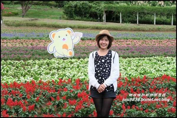 大溪花海53.JPG