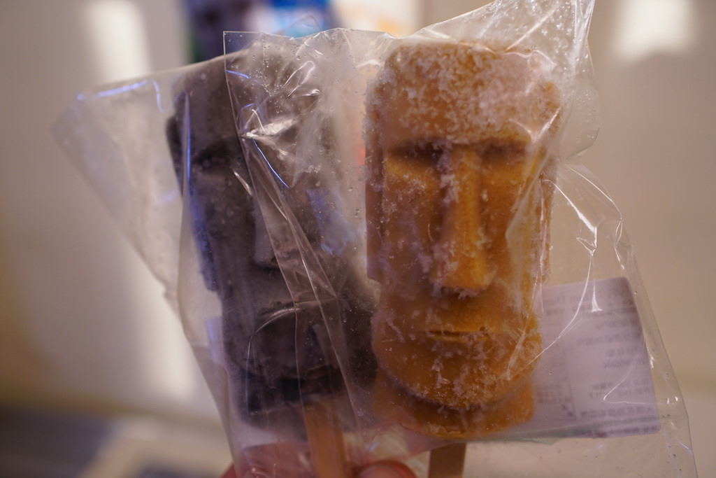 【桃園大溪】神秘巨石摩艾出沒!大溪花海農場 彩紅花田