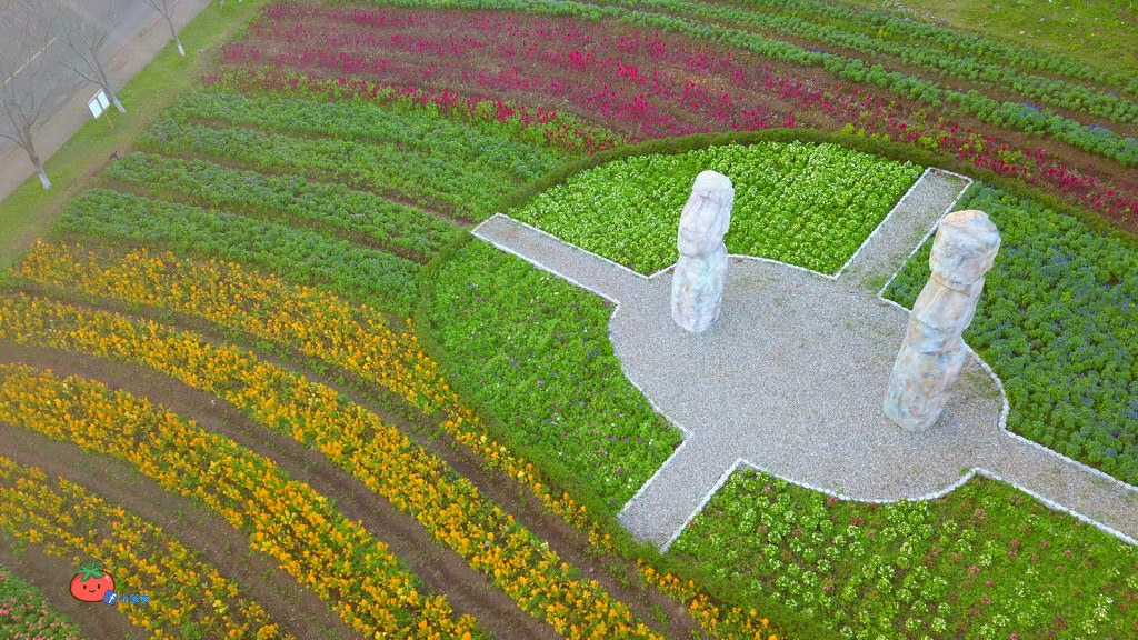 【桃園大溪】神秘巨石摩艾出沒!大溪花海農場 彩紅花田