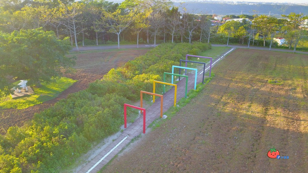【桃園大溪】神秘巨石摩艾出沒!大溪花海農場 彩紅花田