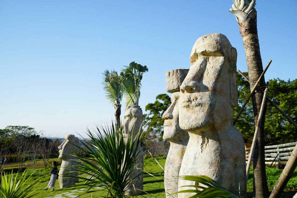 【桃園大溪】神秘巨石摩艾出沒!大溪花海農場 彩紅花田