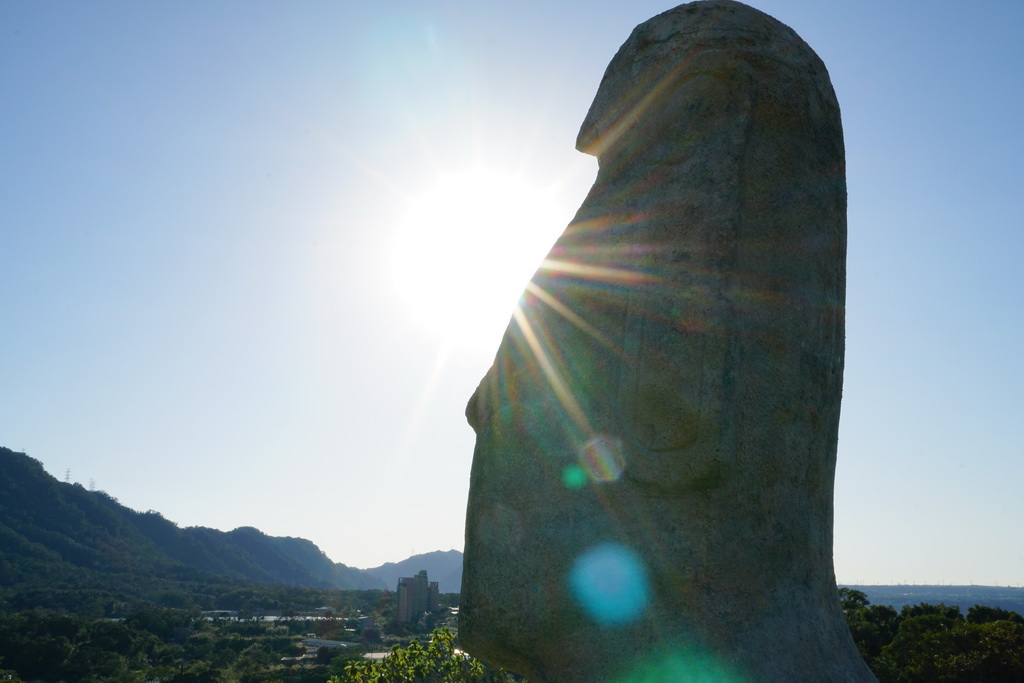 【桃園大溪】神秘巨石摩艾出沒!大溪花海農場 彩紅花田