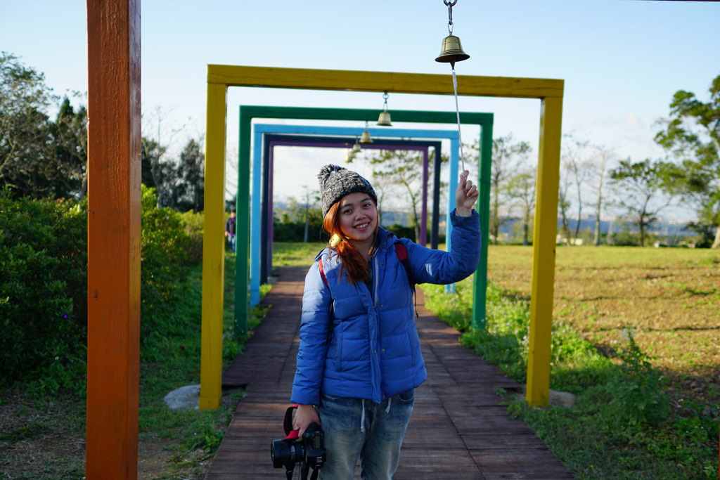 【桃園大溪】神秘巨石摩艾出沒!大溪花海農場 彩紅花田
