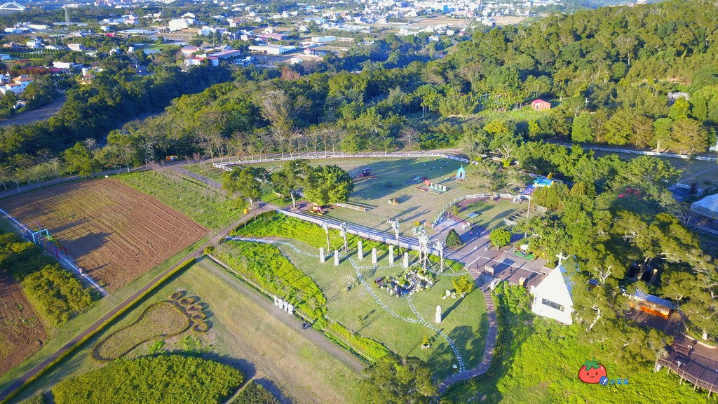 【桃園大溪】神秘巨石摩艾出沒!大溪花海農場 彩紅花田