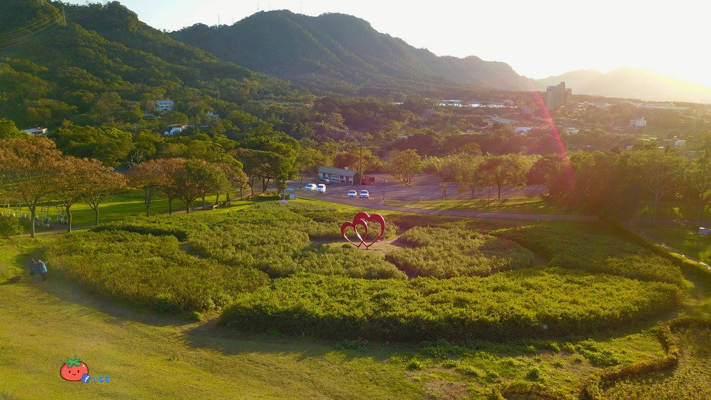 【桃園大溪】神秘巨石摩艾出沒!大溪花海農場 彩紅花田