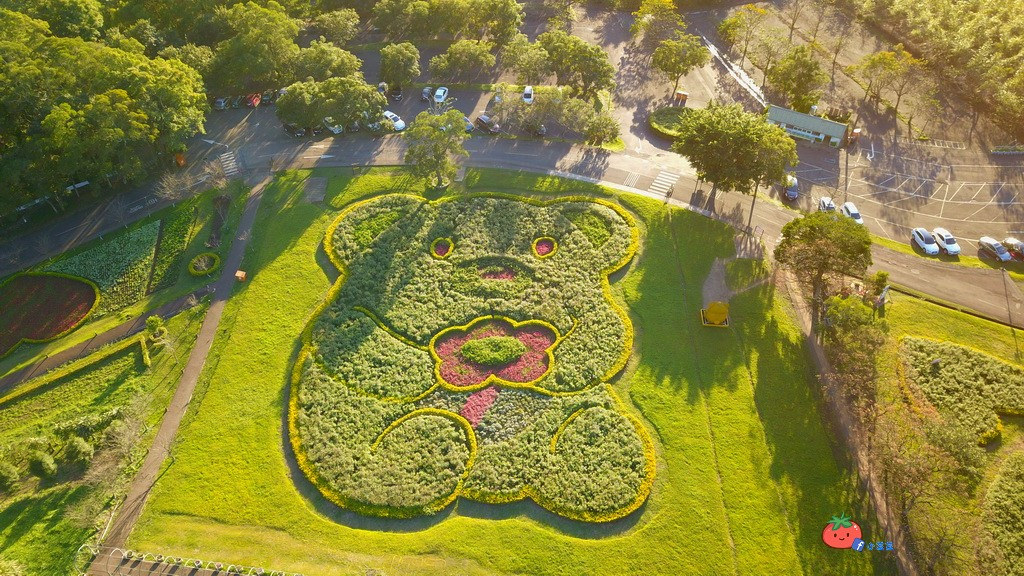 【桃園大溪】神秘巨石摩艾出沒!大溪花海農場 彩紅花田