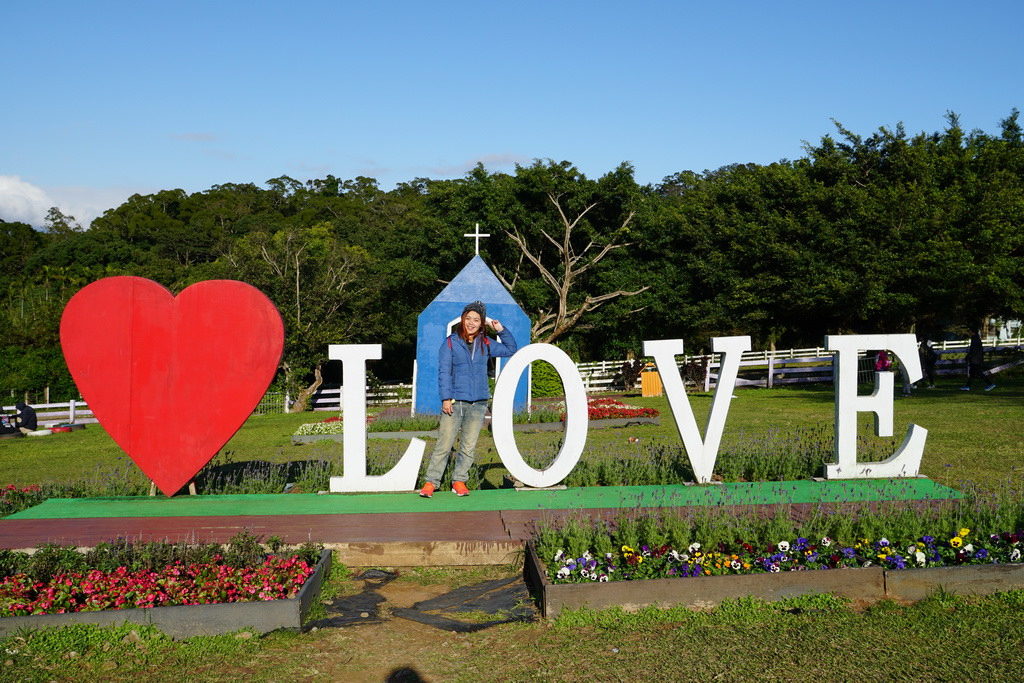 【桃園大溪】神秘巨石摩艾出沒!大溪花海農場 彩紅花田