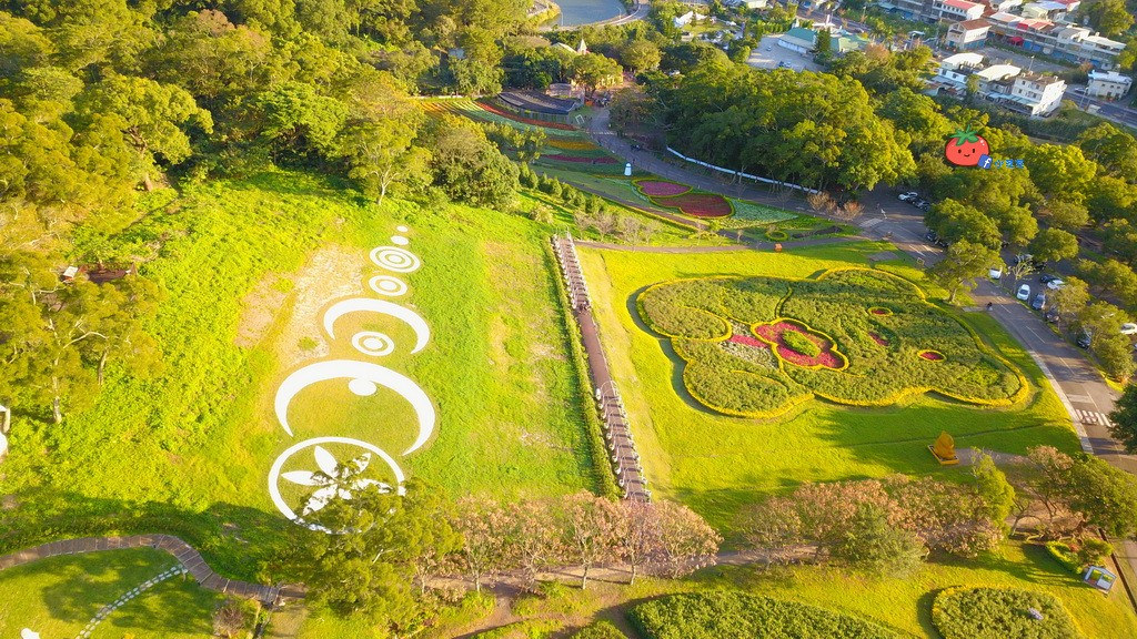 【桃園大溪】神秘巨石摩艾出沒!大溪花海農場 彩紅花田