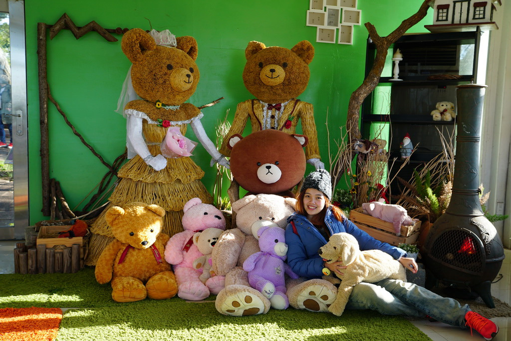 【桃園大溪】神秘巨石摩艾出沒!大溪花海農場 彩紅花田