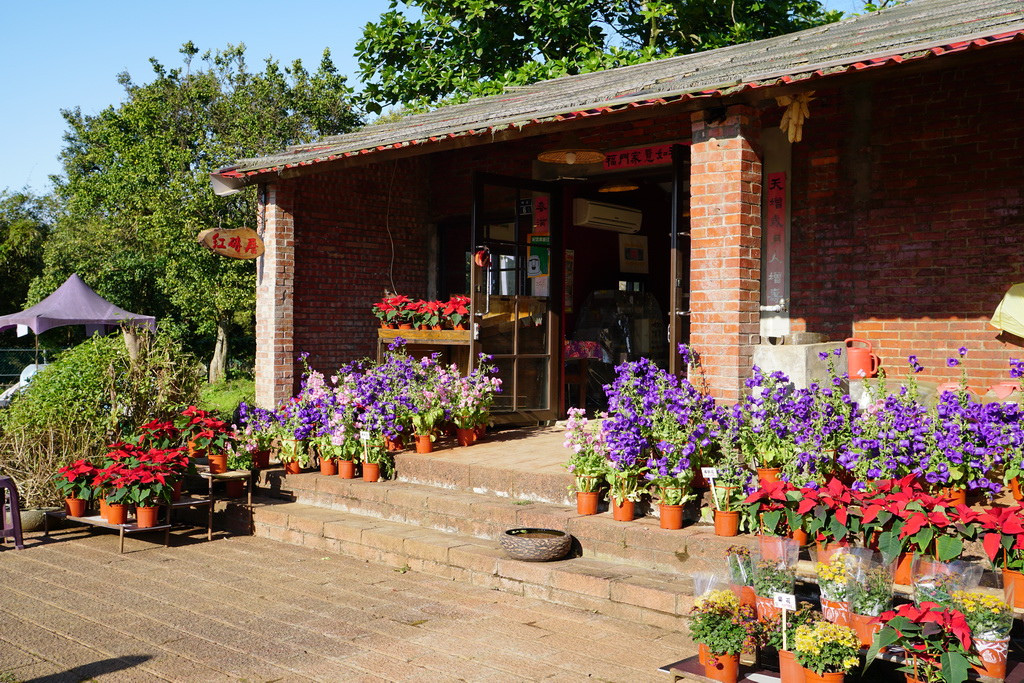 【桃園大溪】神秘巨石摩艾出沒!大溪花海農場 彩紅花田