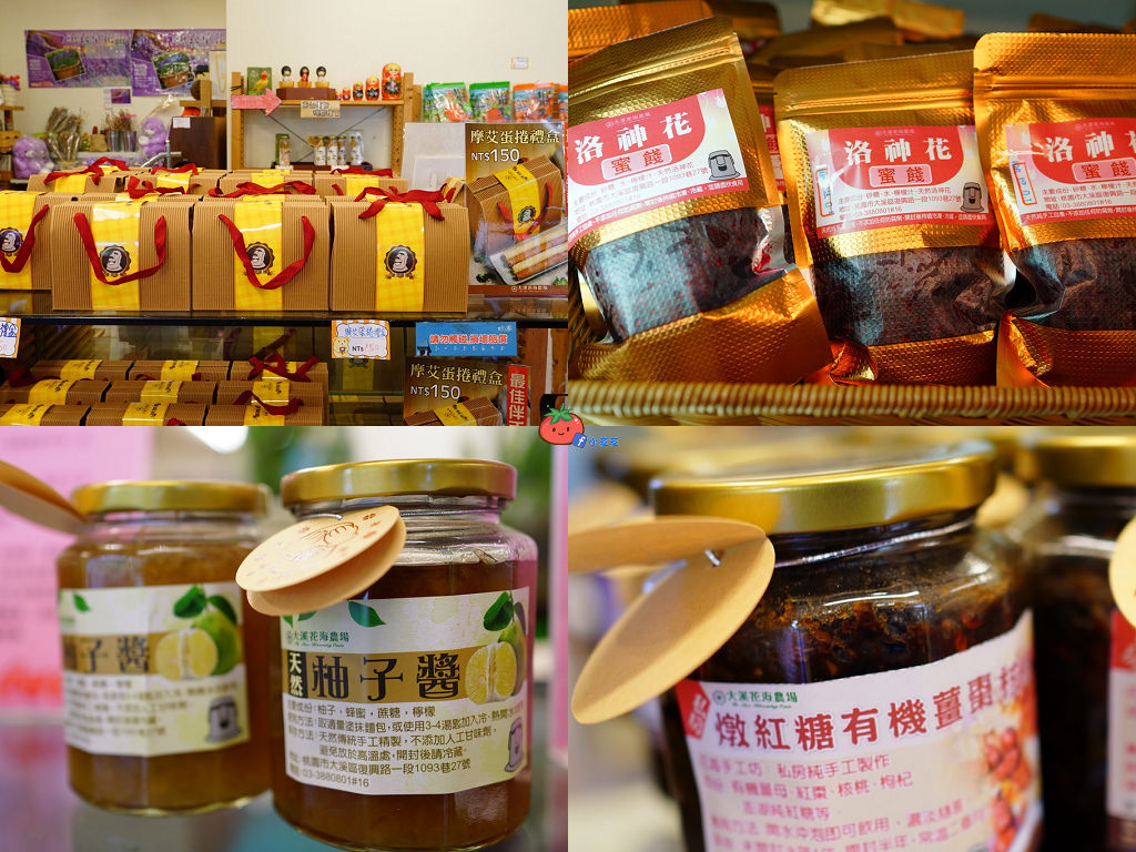 【桃園大溪】神秘巨石摩艾出沒!大溪花海農場 彩紅花田