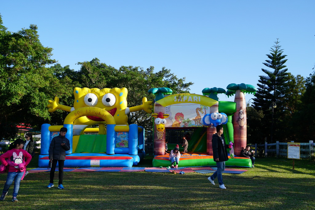 【桃園大溪】神秘巨石摩艾出沒!大溪花海農場 彩紅花田