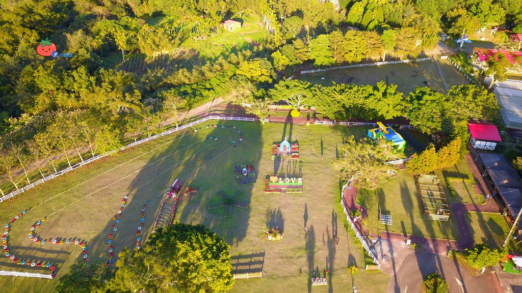 【桃園大溪】神秘巨石摩艾出沒!大溪花海農場 彩紅花田