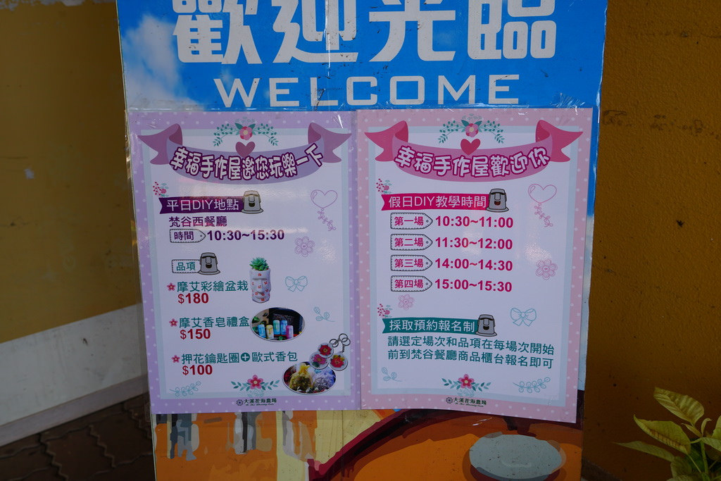 【桃園大溪】神秘巨石摩艾出沒!大溪花海農場 彩紅花田