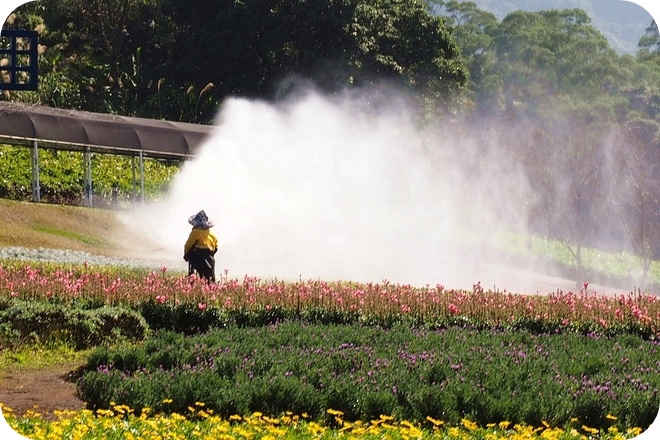 P2150005-2 P2150005-2