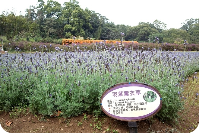 SDIM0009-2 SDIM0009-2