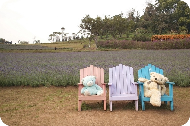 SDIM0008-2 SDIM0008-2