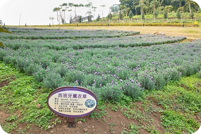 SDIM0010-2 SDIM0010-2