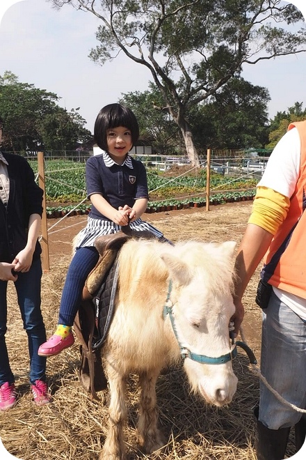 P2150025-2 P2150025-2