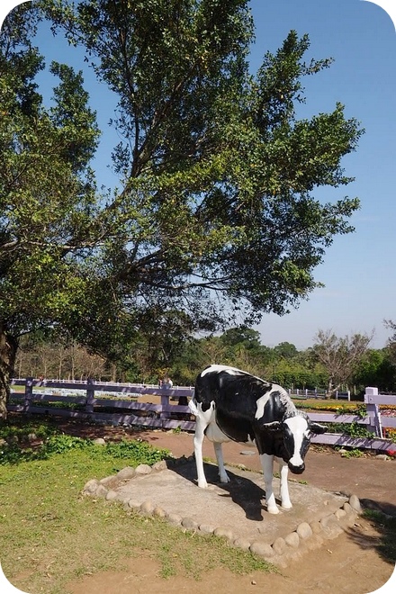 P2150011-2 P2150011-2