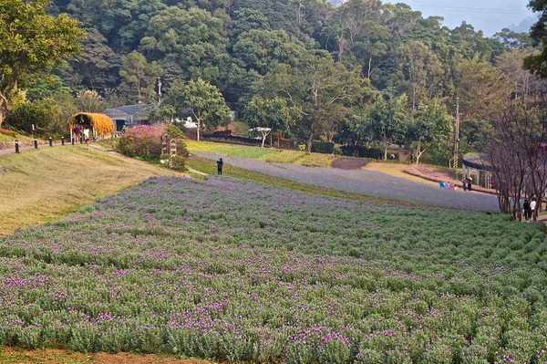 螢幕快照 2015-02-17 下午1.40.24 螢幕快照 2015-02-17 下午1.40.24