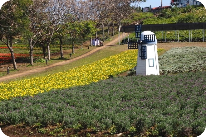 P2150004-2 P2150004-2