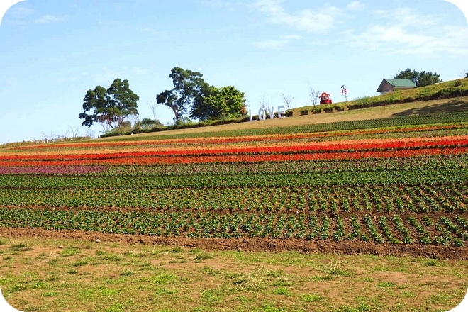 P2150006-2 P2150006-2