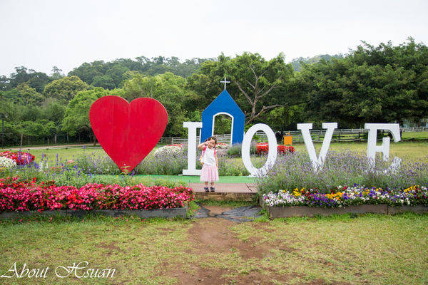 大溪花海農場:摩艾巨石像-大溪花海農場親子遊推薦
