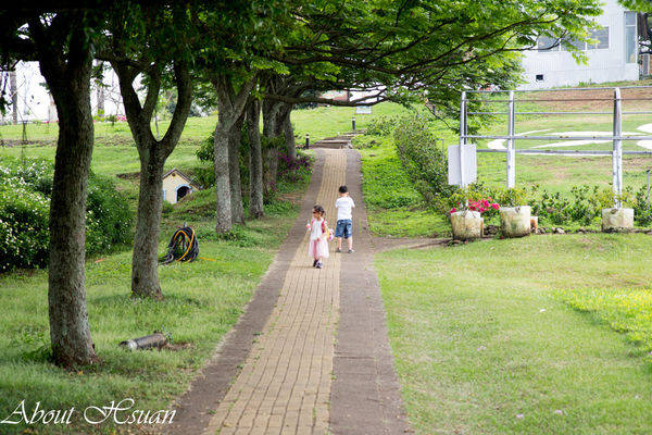 大溪花海農場:摩艾巨石像-大溪花海農場親子遊推薦