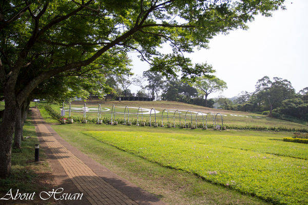 大溪花海農場:摩艾巨石像-大溪花海農場親子遊推薦