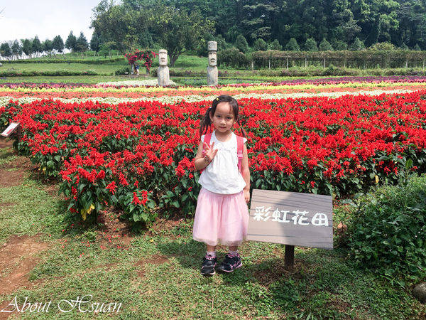 大溪花海農場:摩艾巨石像-大溪花海農場親子遊推薦