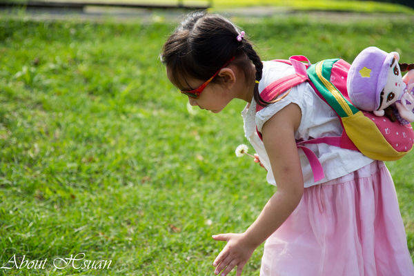 大溪花海農場:摩艾巨石像-大溪花海農場親子遊推薦