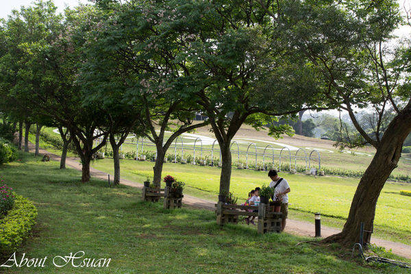 大溪花海農場:摩艾巨石像-大溪花海農場親子遊推薦