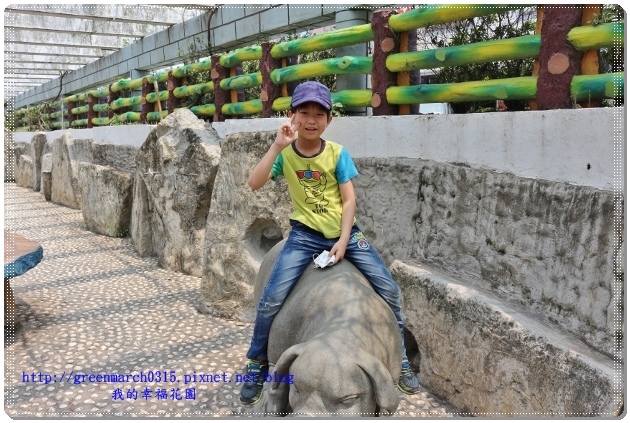 IMG_2558 (620x413).jpg