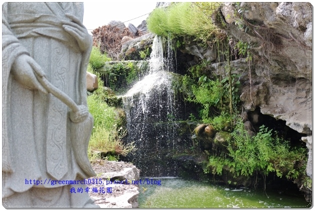 IMG_2550 (620x413).jpg