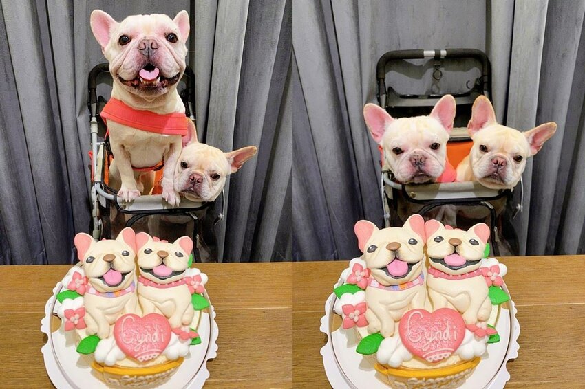 MÊLER-米爾利甜點創作，客製化蛋糕，量身訂做造型蛋糕，生日慶生/週歲蛋糕/法鬥蛋糕 - Cyndi loves享食天堂