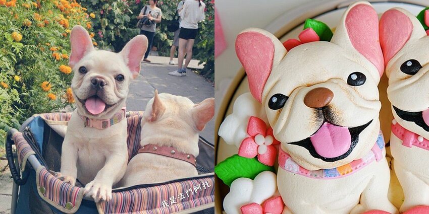 MÊLER-米爾利甜點創作，客製化蛋糕，量身訂做造型蛋糕，生日慶生/週歲蛋糕/法鬥蛋糕 - Cyndi loves享食天堂