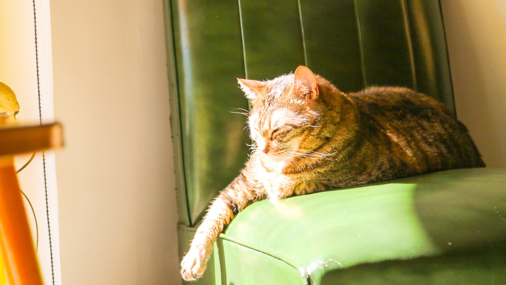 IMG_1128.jpg IMG_1128.jpg