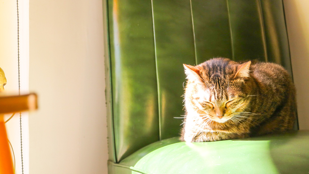 IMG_1126.jpg IMG_1126.jpg