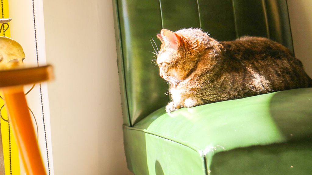 IMG_1127.jpg IMG_1127.jpg