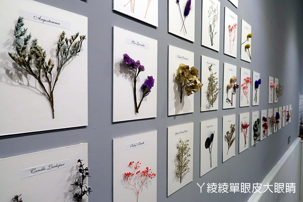 IMG_6471_mh1500787187011