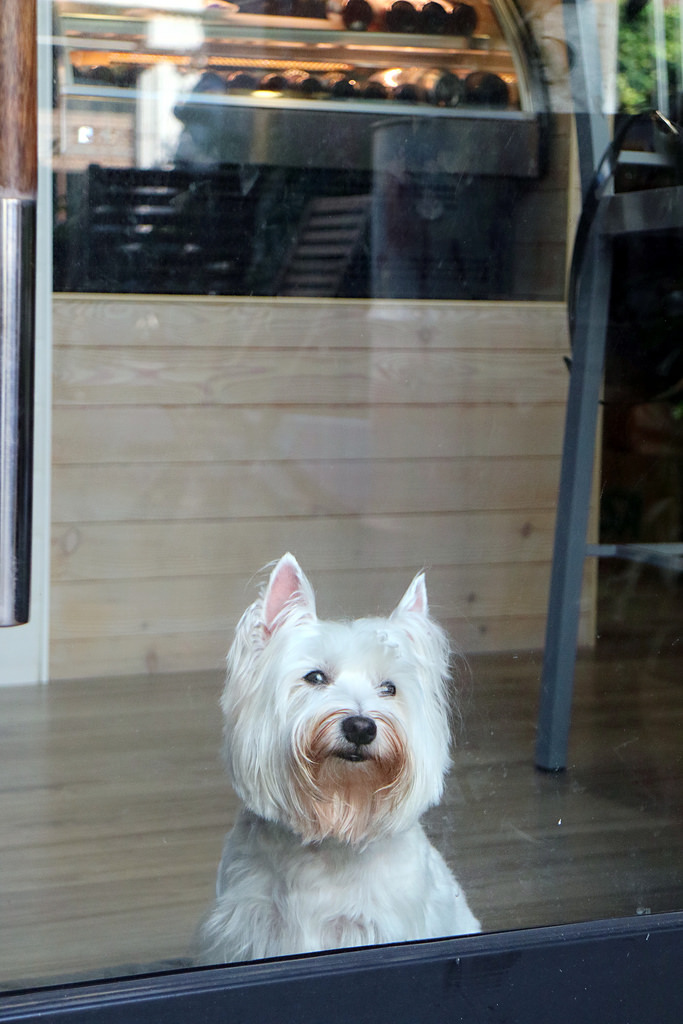 美食►桃園┃未秧咖啡┃藝文特區附近隱藏版桃園早午餐，彩色拉花、荷蘭鬆餅超吸睛！