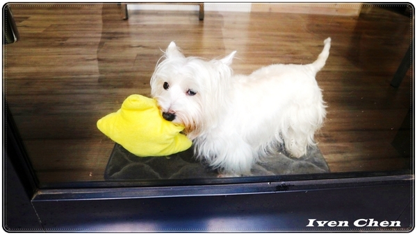 未秧咖啡:《桃園早午餐》 假日享受在生活美學品味好廚藝的『未秧咖啡』