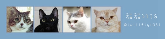 貓貓IG.jpg 貓貓IG.jpg
