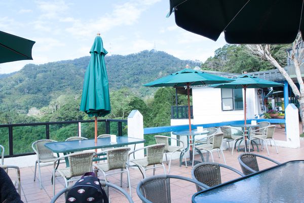 大溪湖畔咖啡 - 8