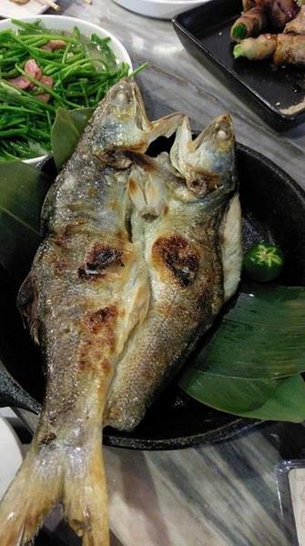 Yoko洋子酒食所:Yoko洋子酒食所-板橋府中站的聚餐好選擇 跟好友同事喝點酒吃點串燒有夠愜意