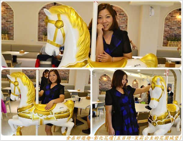 DSC_6600 (15) DSC_6600 (15)