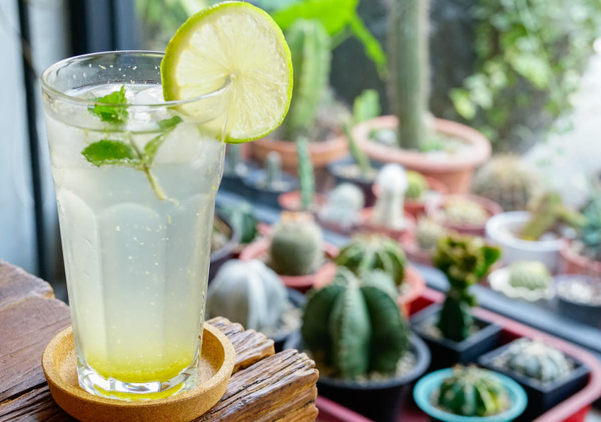 [台南]Meller墨樂咖啡-安平隱藏版! 時尚乾燥花藝x復古老屋咖啡店 難忘美味手作甜點 台南安平咖啡館推薦 - 美食好芃友