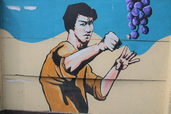 彰化溪湖巨峰葡萄彩繪:【彰化景點】彰化溪湖巨峰葡萄彩繪~充滿幽默風趣和在地風格存在的小小樂趣